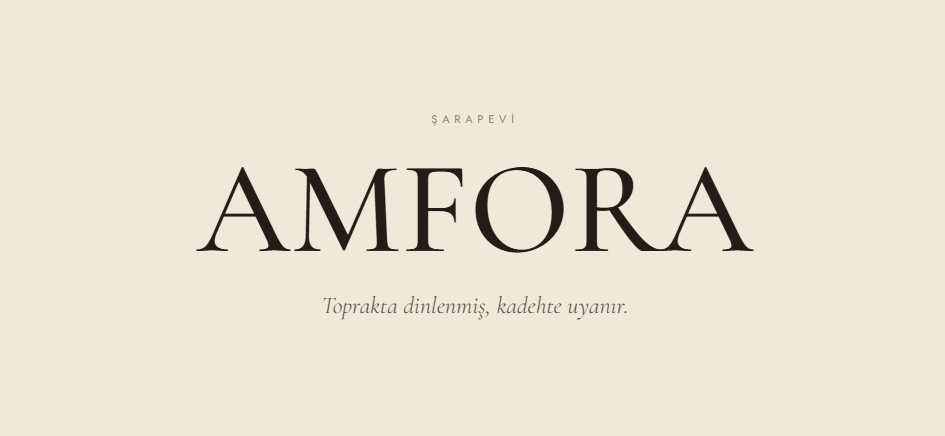 Amfora